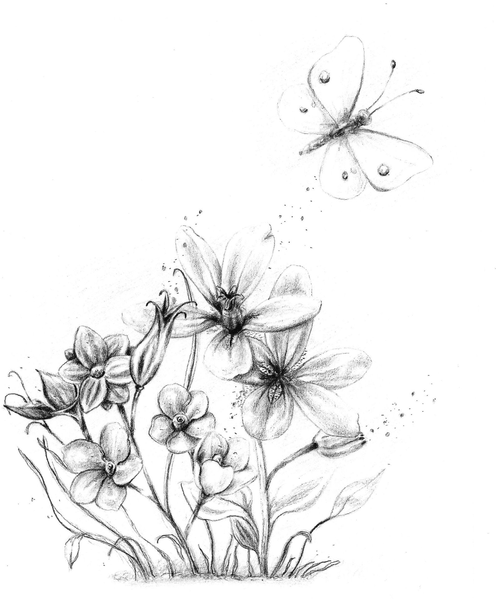 Illustration aus Zwischen Eisblumen und Immergrün, Tagträumer Verlag